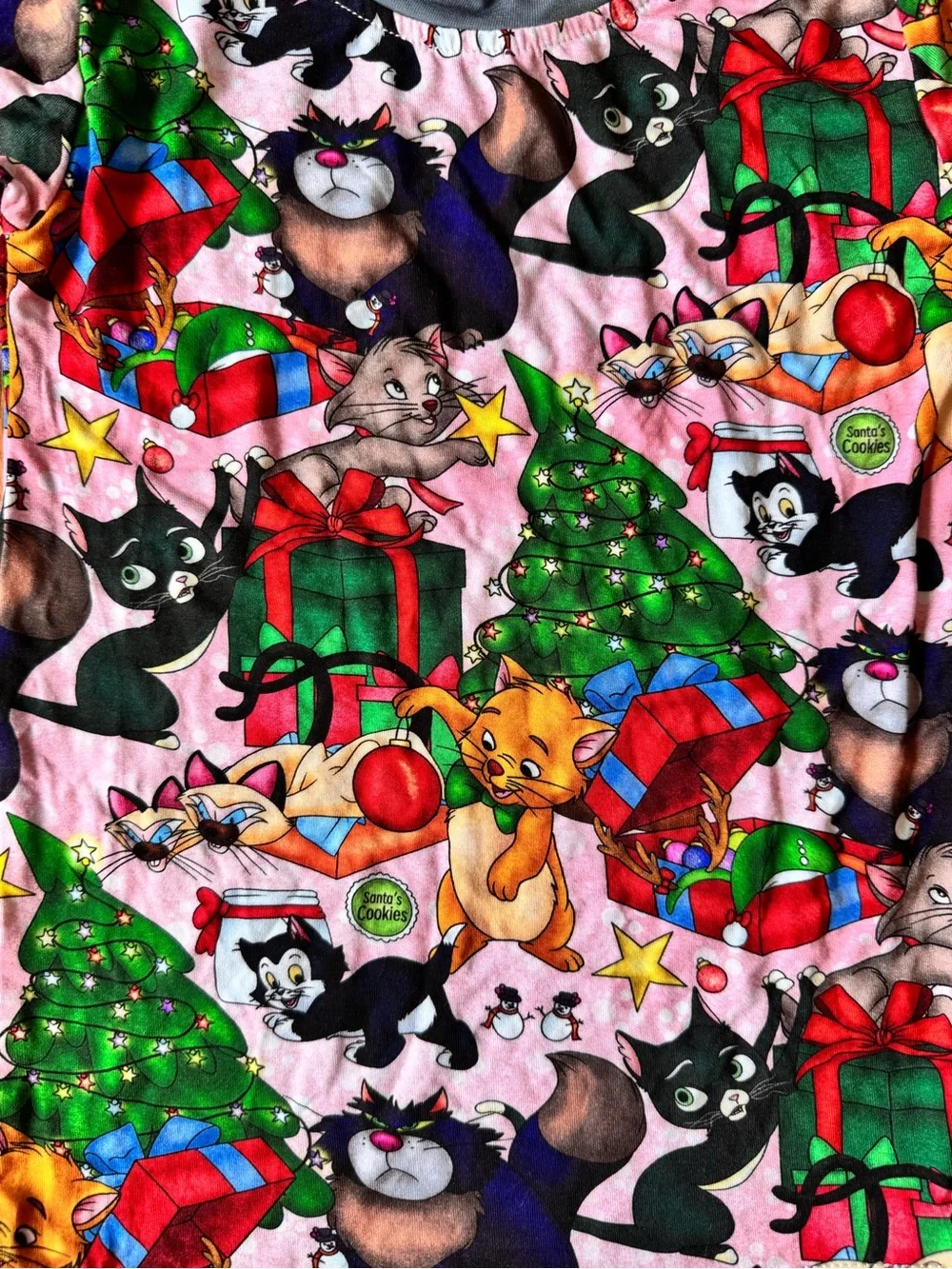 NWOT Unbranded Bamboo Disney Cats Christmas pajamas